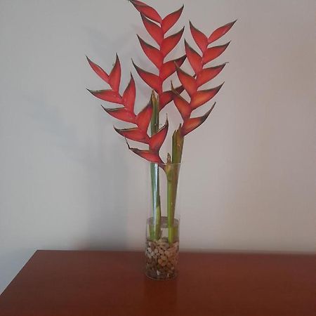Apartament Recanto Da Madeira. Ribeira Brava Zewnętrze zdjęcie