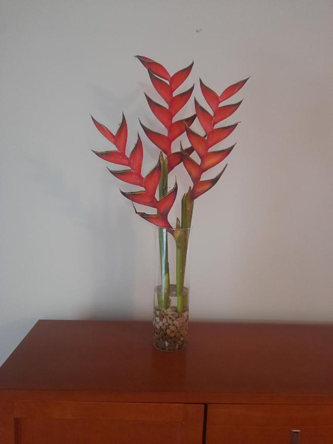 Apartament Recanto Da Madeira. Ribeira Brava Zewnętrze zdjęcie